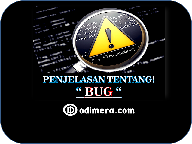 Bug Adalah, Arti Bug